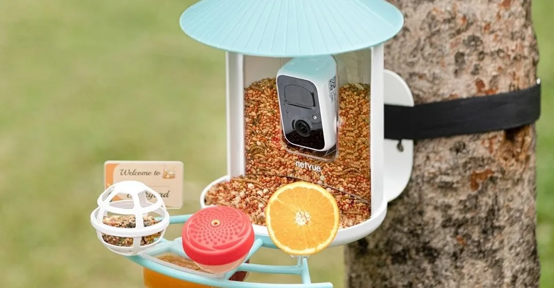 Birdfy выпустила умную кормушку с камерой — подарок для мамы